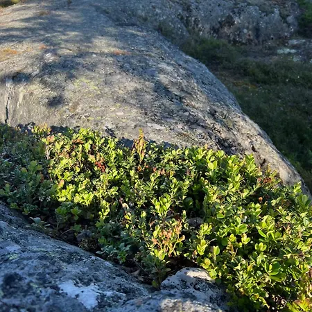 Klobbars Gaesthem O *